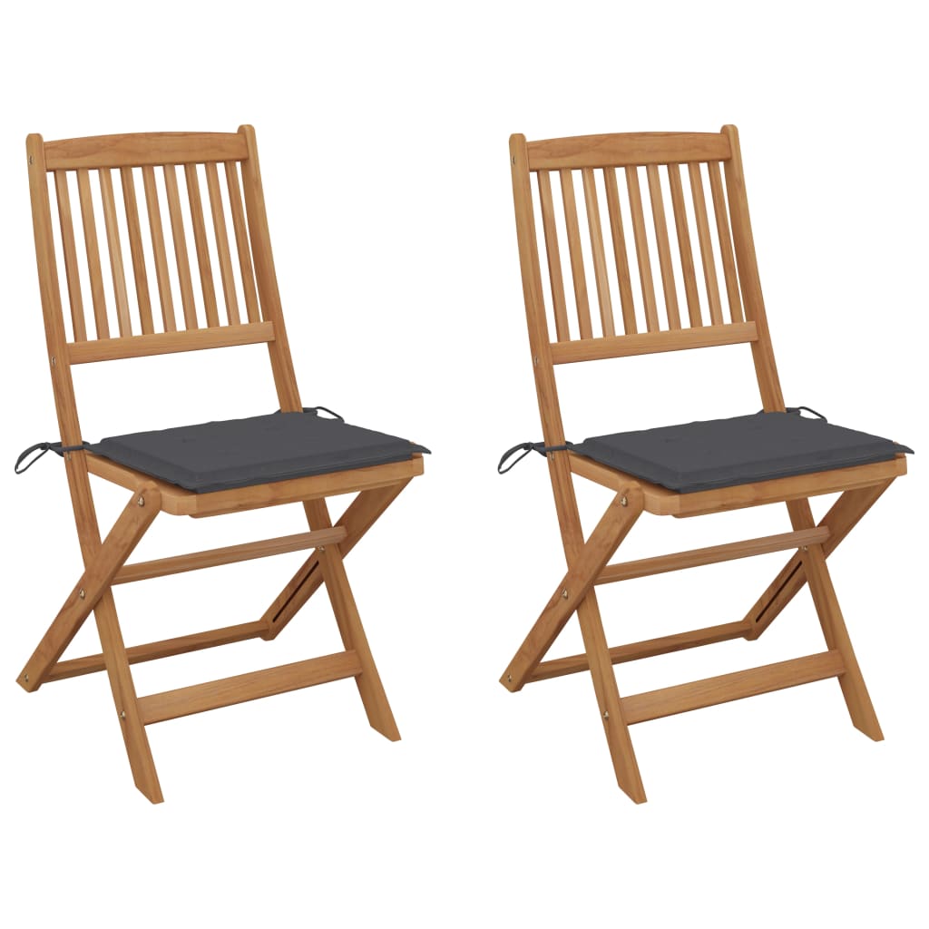 Lot de 2 Chaises pliables de jardin | Siège de Terrasse | Chaise d'extérieur avec coussins Bois d'acacia CFW600873 - 2