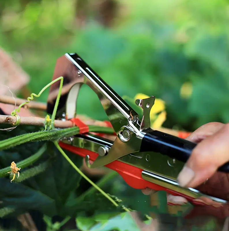 Machine à attacher les plantes pour attacher les tomates, les poivrons et les concombres rapidement et facilement, outil de jardinage pour vigne - 2