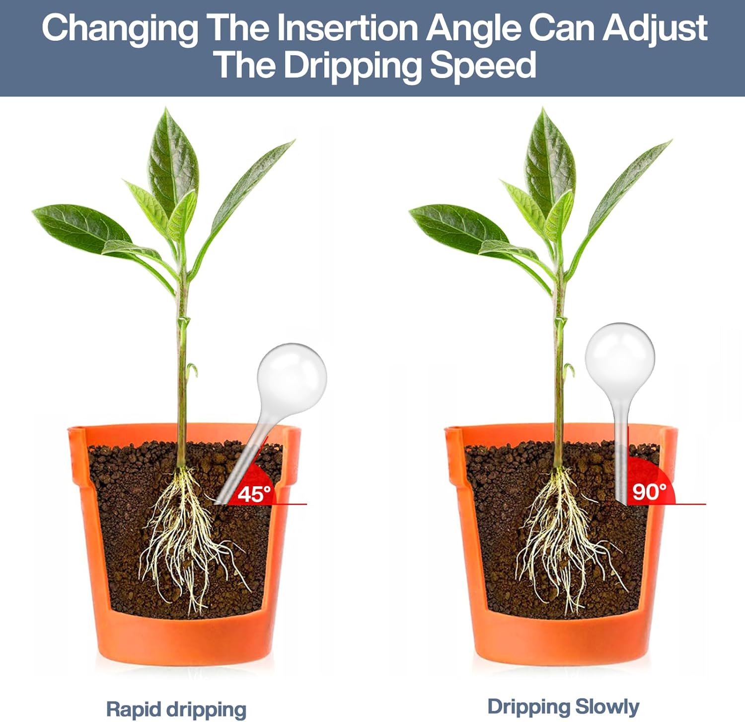 10 Pièces Boules d'Irrigation pour Plantes,Plante Arrosage Goutte à Goutte Automatique,Transparent Distributeur Eau Plante - 4