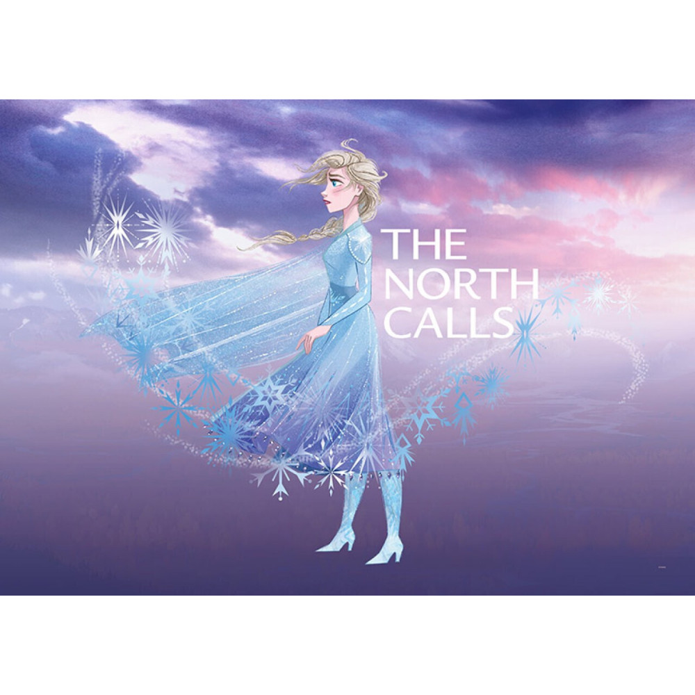 Póster decorativo frozen elsa morado y azul - 50 x 40 cm - sanders & sanders