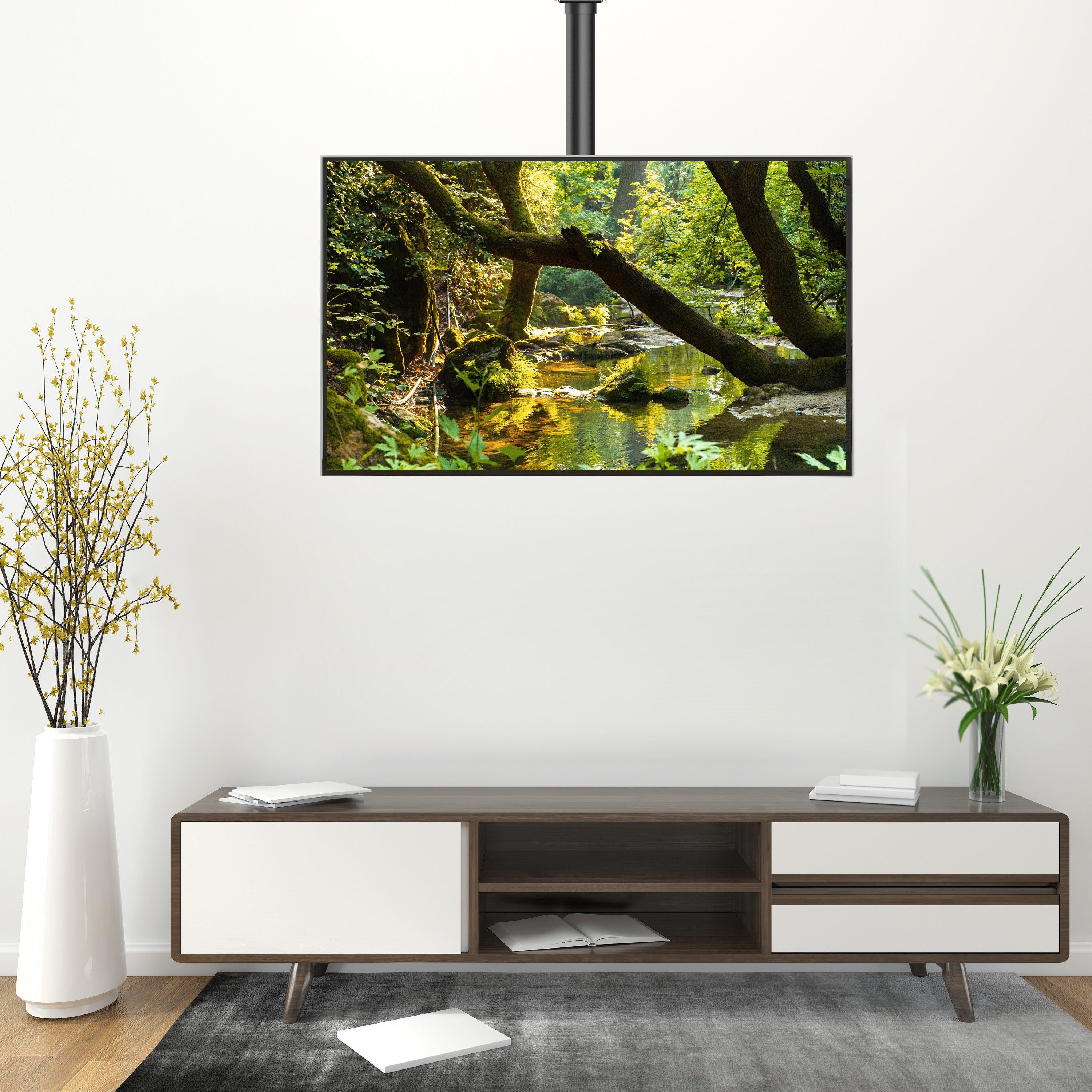 Support de TV TM Electron 60 Kg 32