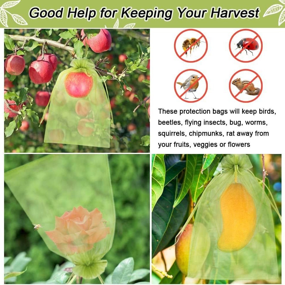 100 Pièces Sacs Protection Fruits 20 x 30 cm, Sachets Filets Protection des Grappes Raisins, Sac Filets pour Jardin (Vert) - 3