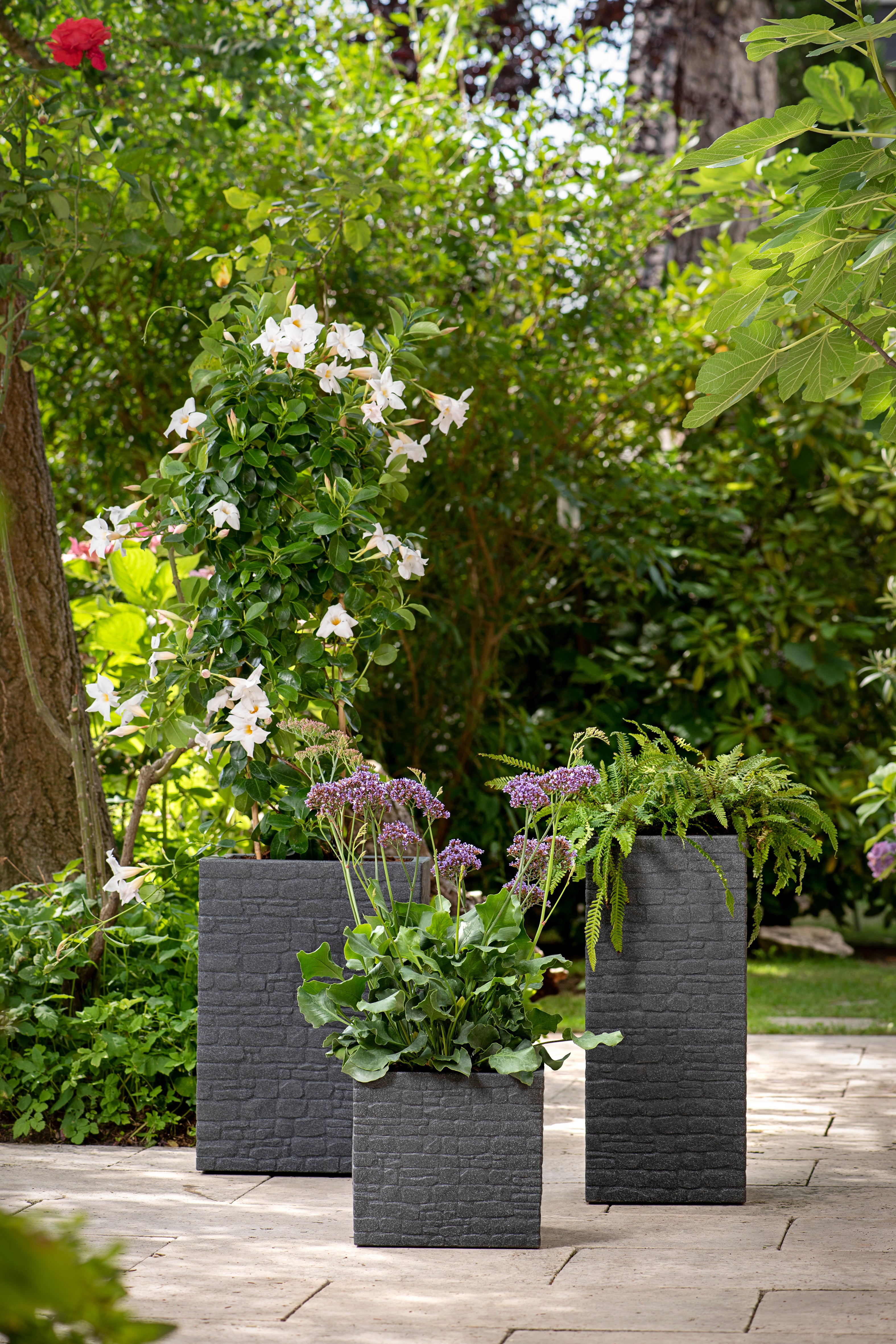 Scheurich Muretto 30, bac à plantes/pot à fleurs/jardinière, carré, coloris: Stony Black, fabriqué avec du plastique recyclé, pour l’extérieur - 2