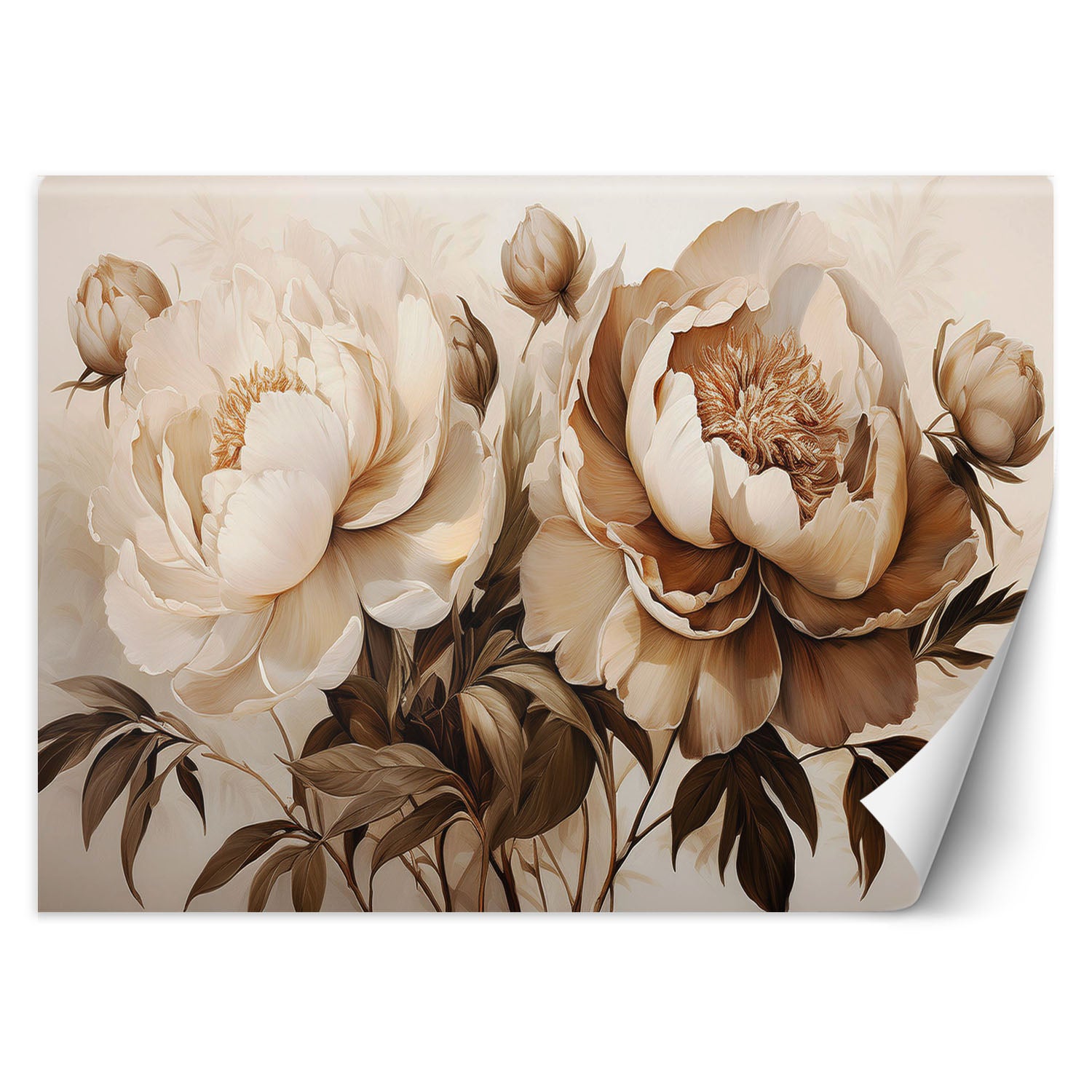 Fototapeta, Piwonie Peonie Kwiaty w Beżu 350x245
