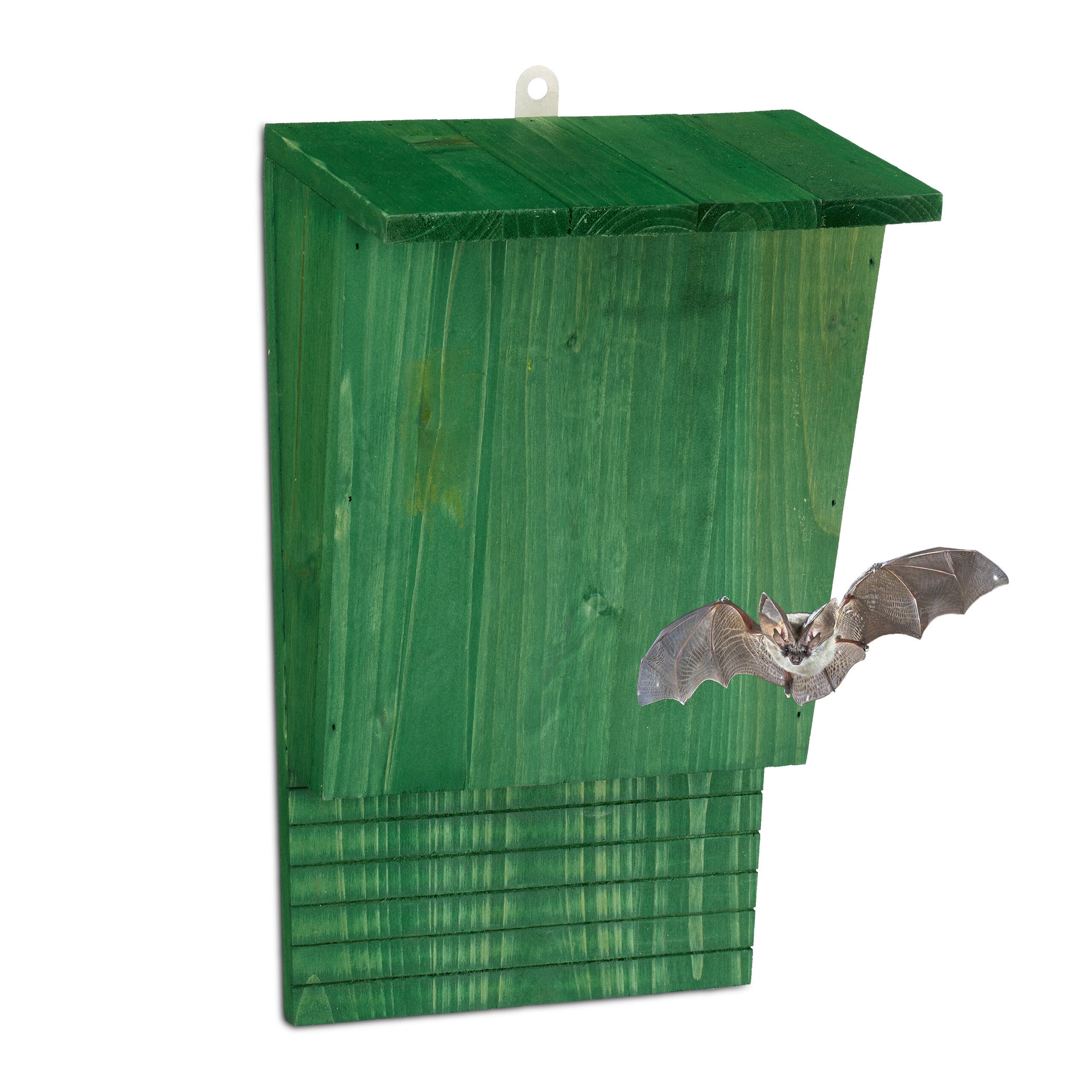 Cassetta Nido Per Pipistrelli Con Logo Batman - Legno Naturale Antikas - Foto 4