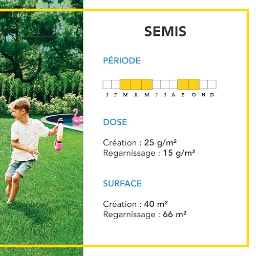 BARENBRUG - Gazon Terrain Sec sans arrosage - Résiste à la Chaleur et à la Sécheresse - Forte Réduction de l'Arrosage - Autoréparation Naturelle - 1KG - 4