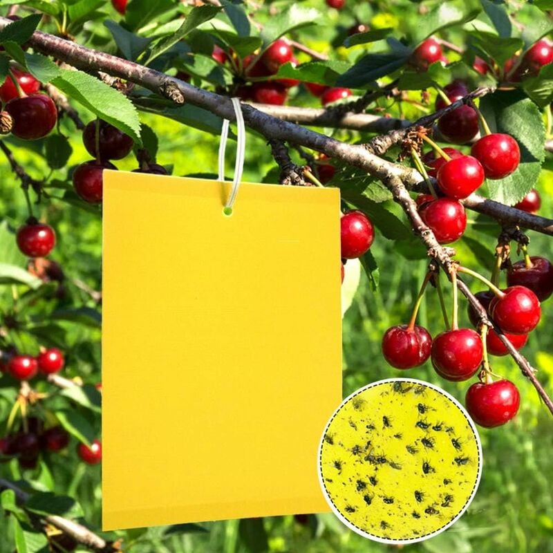20 żółtych paneli do zwalczania ziemiórek 20CMX30CM, wysokiej jakości żółte lepkie pułapki na muchy, żółte nakładki do zwalcz