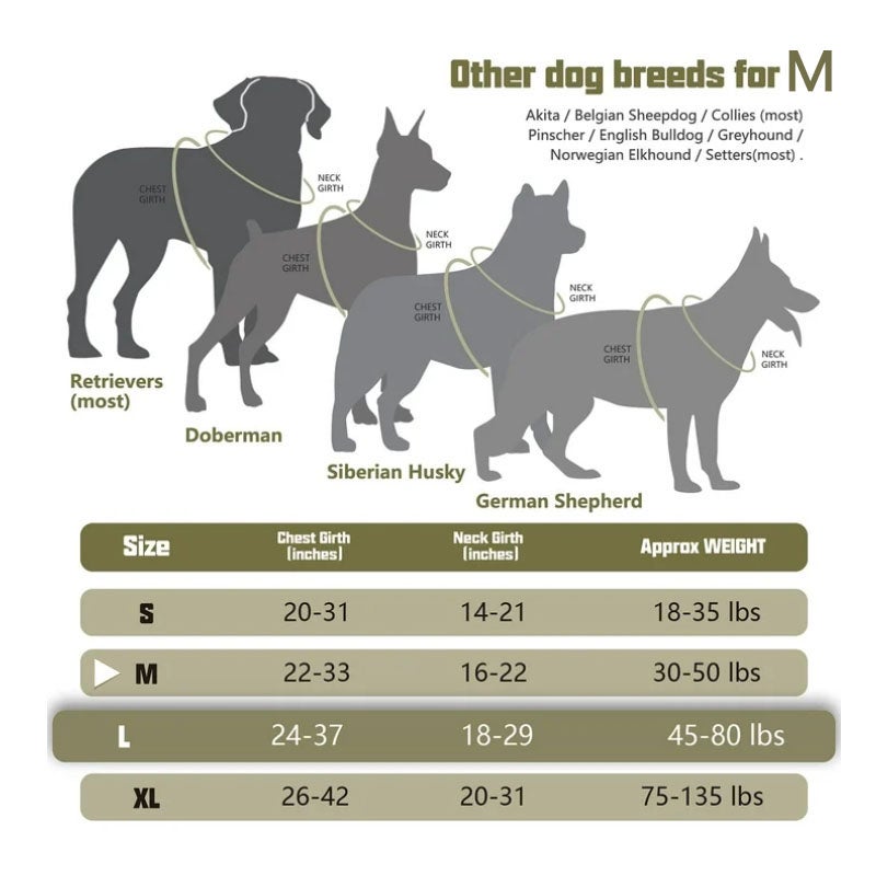 Arnês para cães, arnês ajustável, arnês para cães, arnês para cães sem puxar, (M - verde) - 6