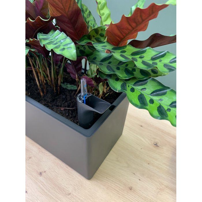 Jardinière auto-arrosante en polypropylène Rimini gris / argent 51x20x20 cm - 7