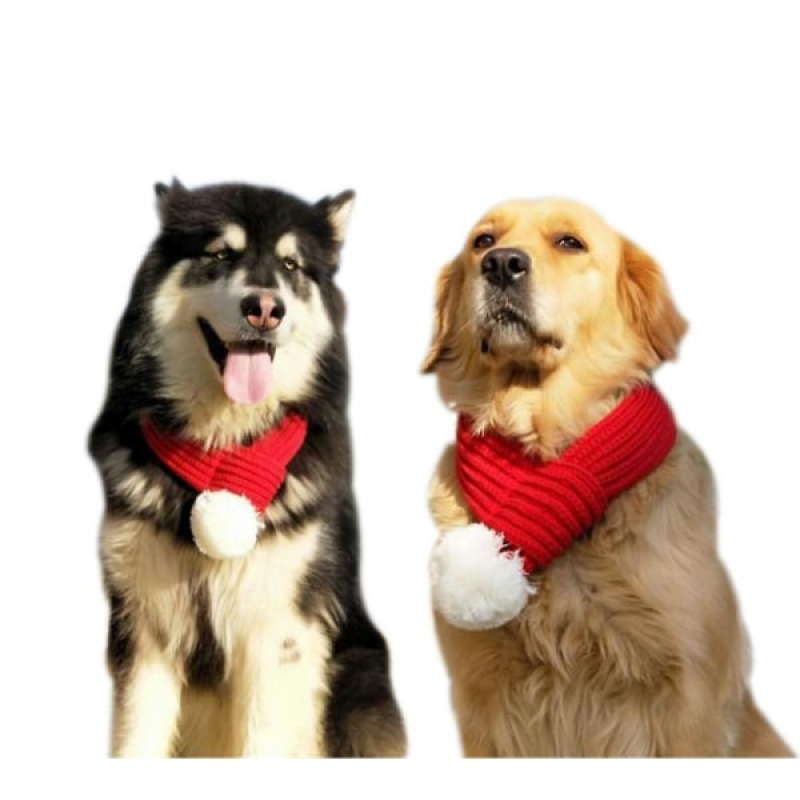 Collare Natalizio Per Gatti E Cani - Decorazione Con Campanelli, Regolabile, Taglie M/L/XL, Rosso, Per Feste Di Natale