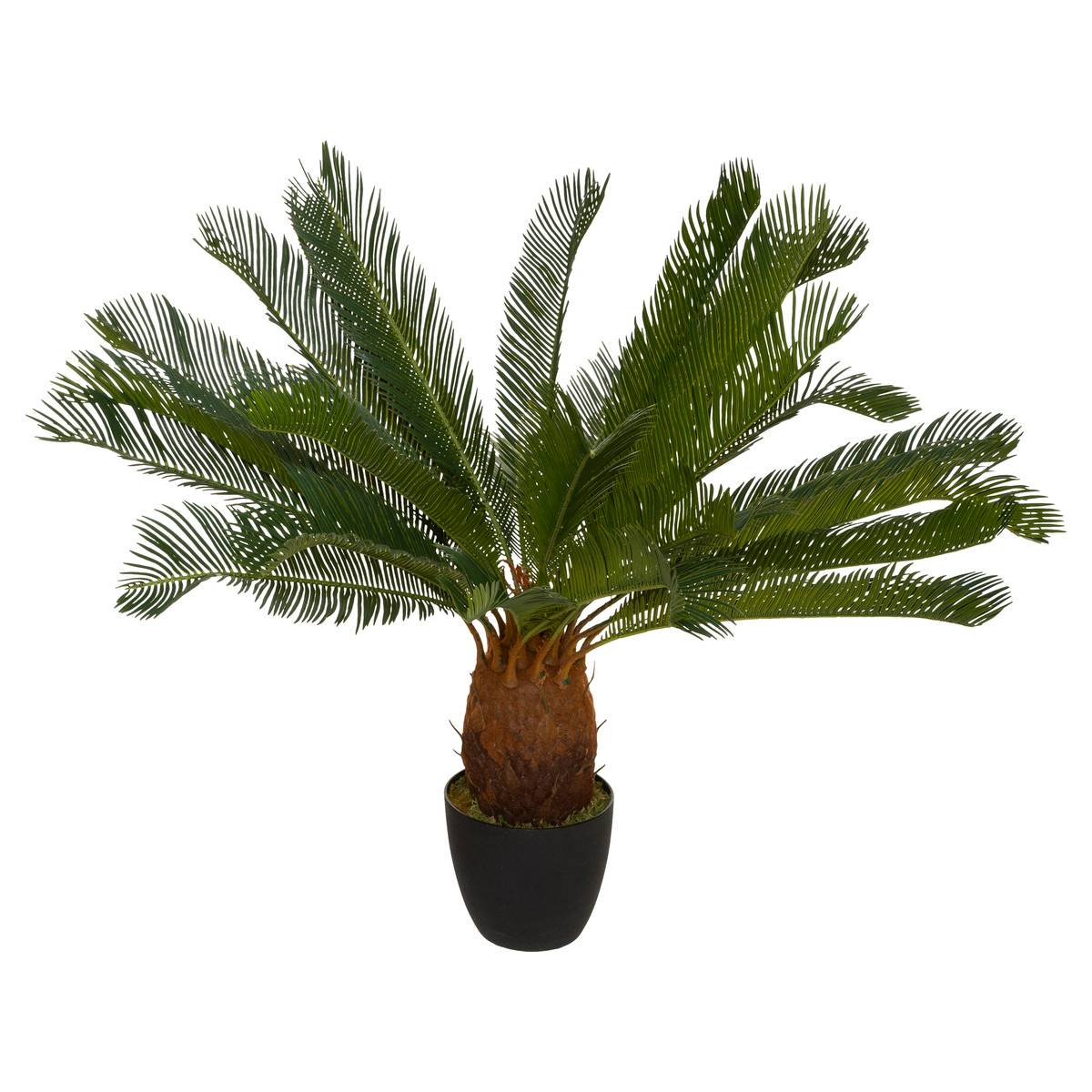 Kunstpflanze ALOE VERA Zimmerpflanze, Atmosphera Créateur d'intérieur