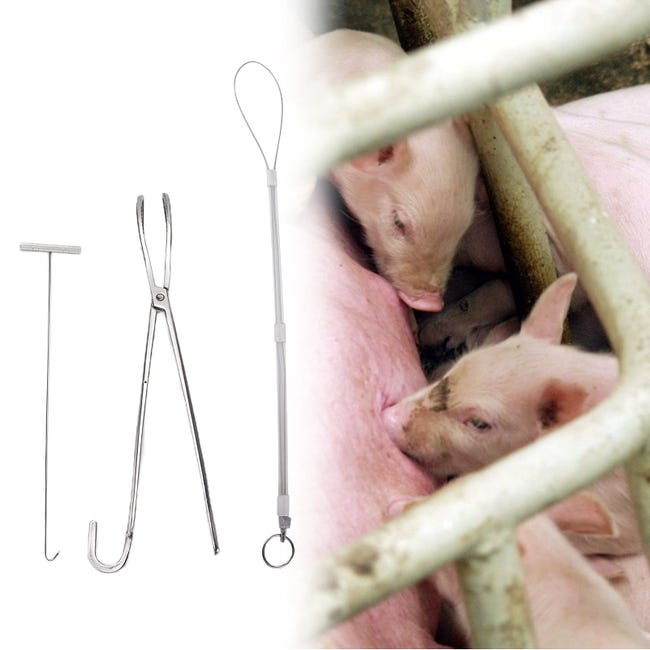 piglet farrowing assistance instruments