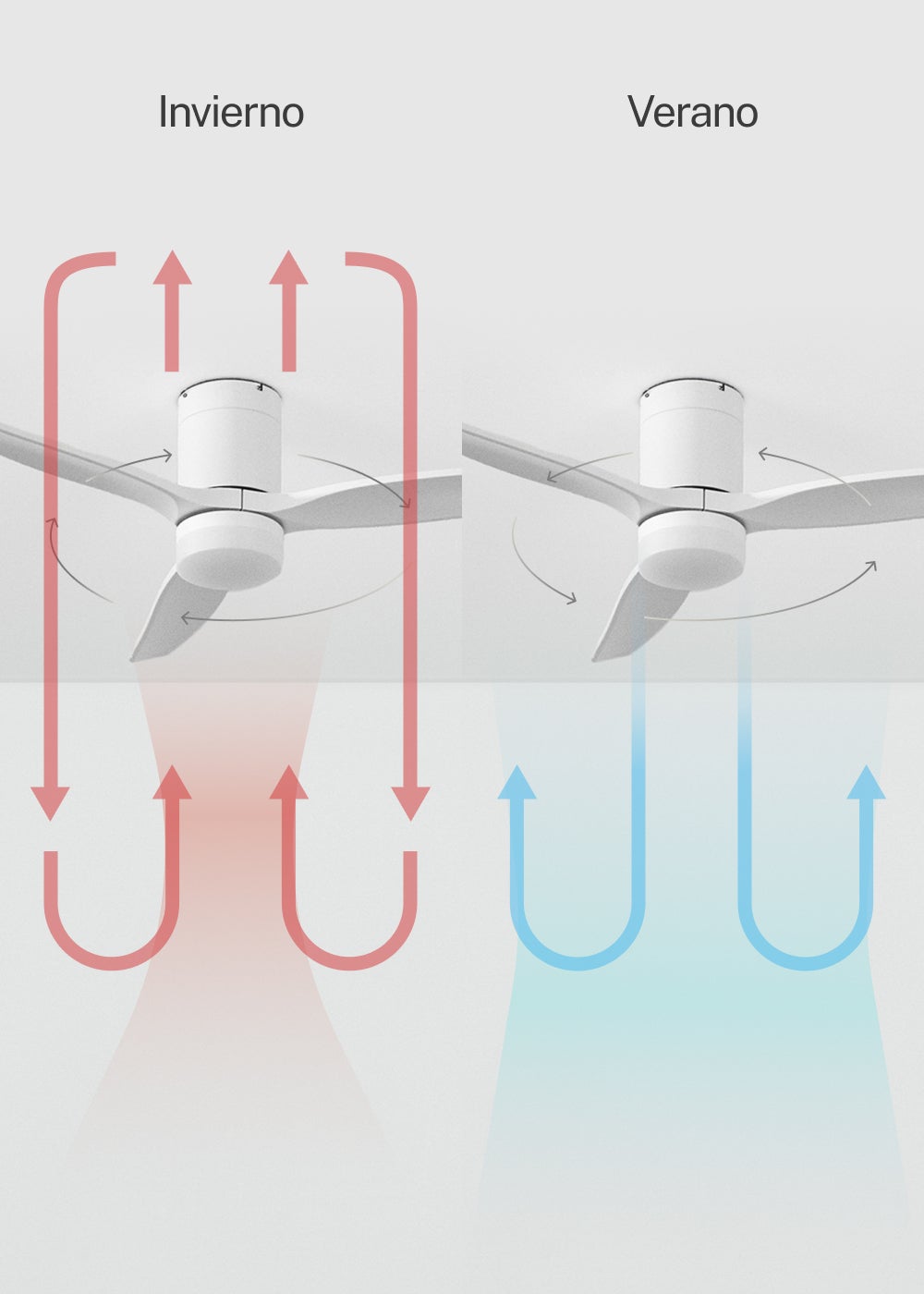 WIND CALM M - Ventilateur de plafond silencieux 40W avec pales techniques en ABS Ø132cm avec eclaraige sans wifi - 6