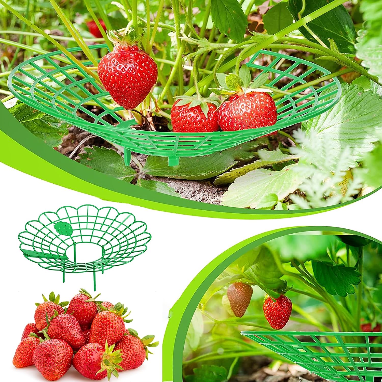 10Pcs Support Fraisier,Support de Plantes de Fraises,Cadre de Culture de Fraises,Support de Plantes de Fraise,pour Fraise,Légume, - 2