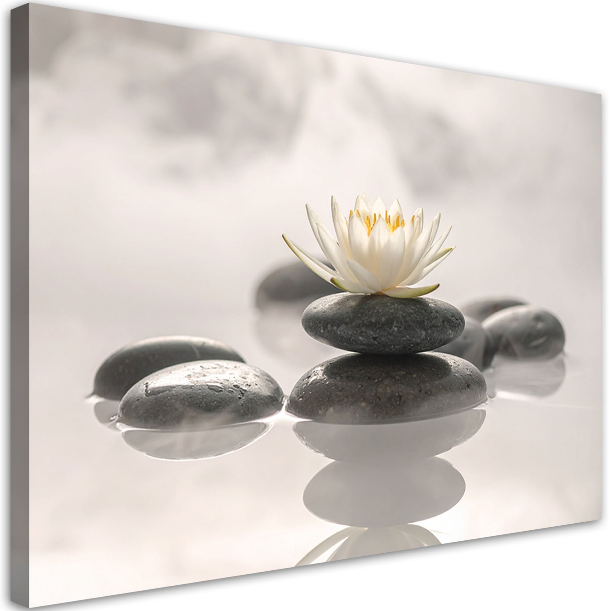 Tableau Moderne, Fleur de lotus pierres plantes zen spa 30x20 | Leroy ...