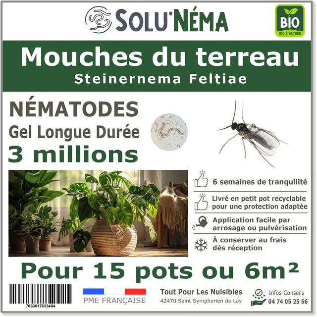Solunéma - Nématodes contre la Mouche du Terreau - 3 millions Steinernema Feltiae - Traitement pour 12 à 15 pots