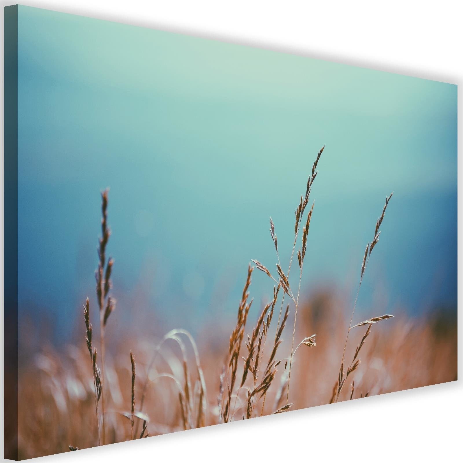 Obraz na płótnie, Źdźbła traw 60x40