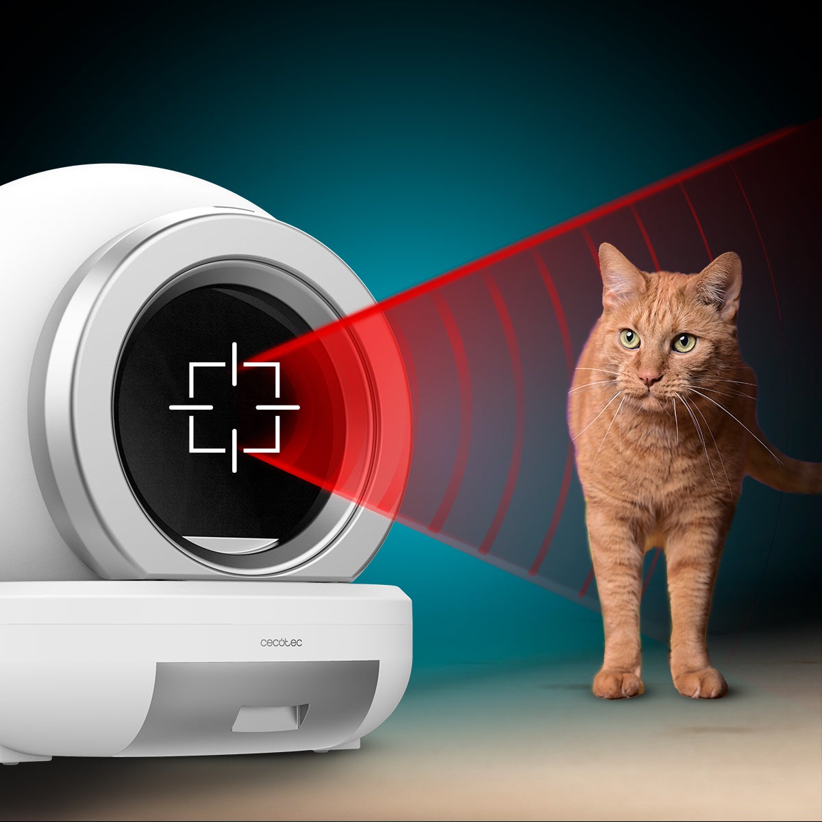 Caixa de areia automática Cecotec Pumba 7000 CleanKitty Compact Connected - 5