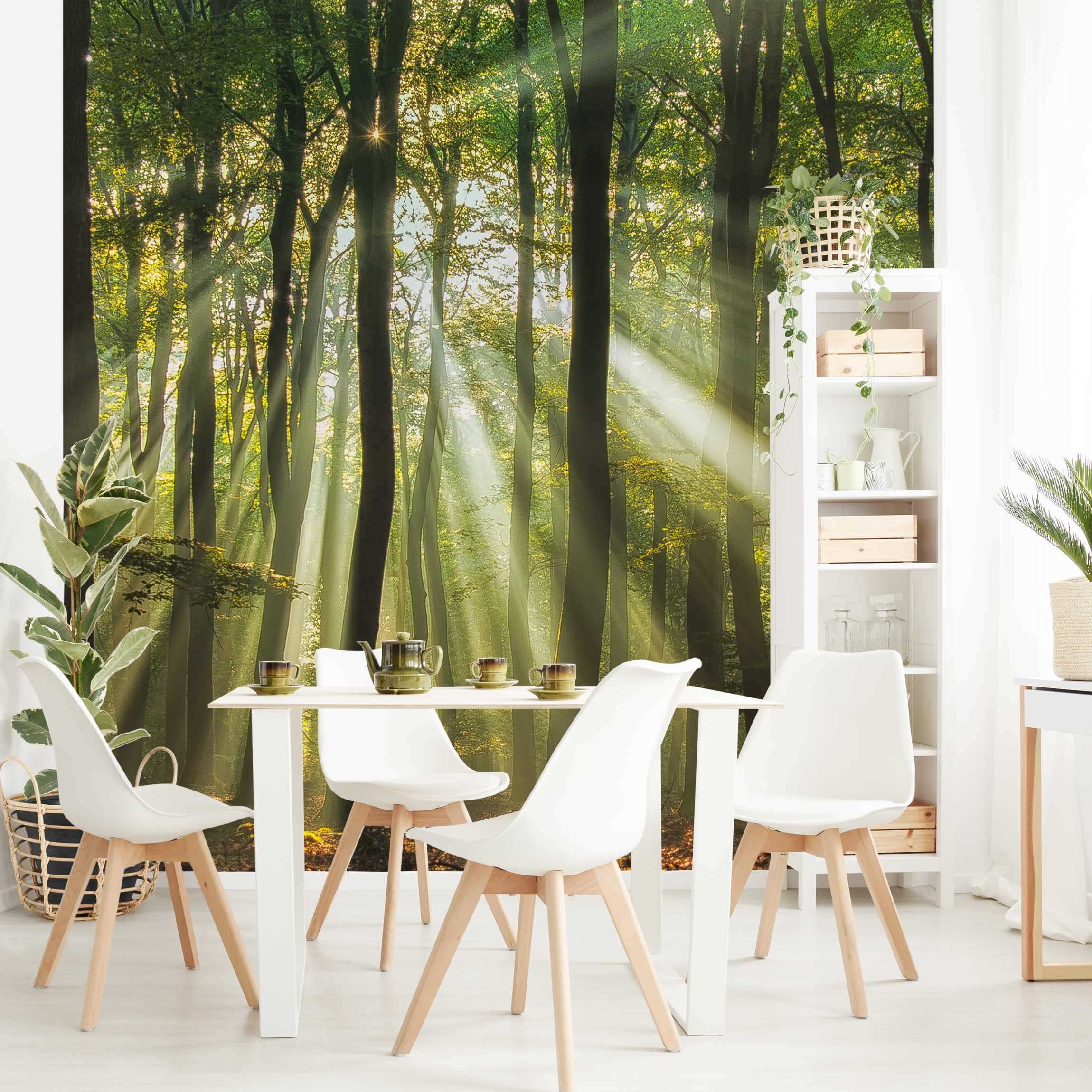 Papel pintado fotomural bosque naturaleza 110 - salón dormitorio cocina pasillo - tnt 336 x 336 cm premium