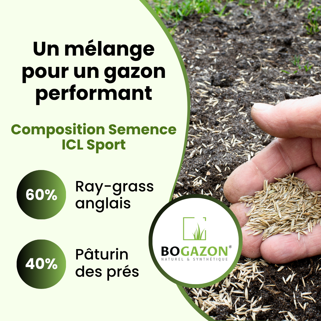 Gazon a semer ICL Sport 10 kg | Graines de Gazon Résistant Piétinement Terrain de Sport & Jardin | Semence Universel Dense et Uniforme - 5