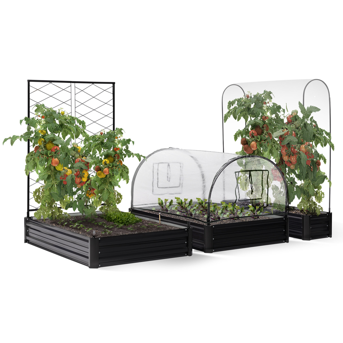 Kit complet 3 bacs métal modulables carrés potager et serre à tomates + treillis + housse - 2
