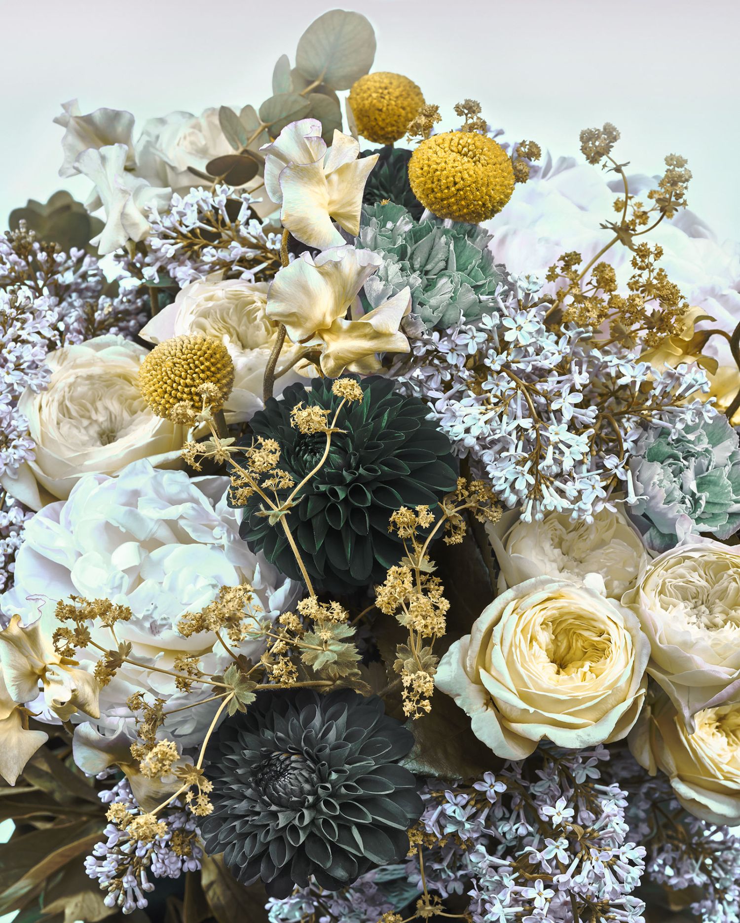 Fotomural flores multi color - 200 x 250 cm - komar