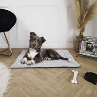 Tapis en laine de haute qualité moderne et chic au confort inégalé Tapis en laine de haute qualité moderne et chic au confort inégalé