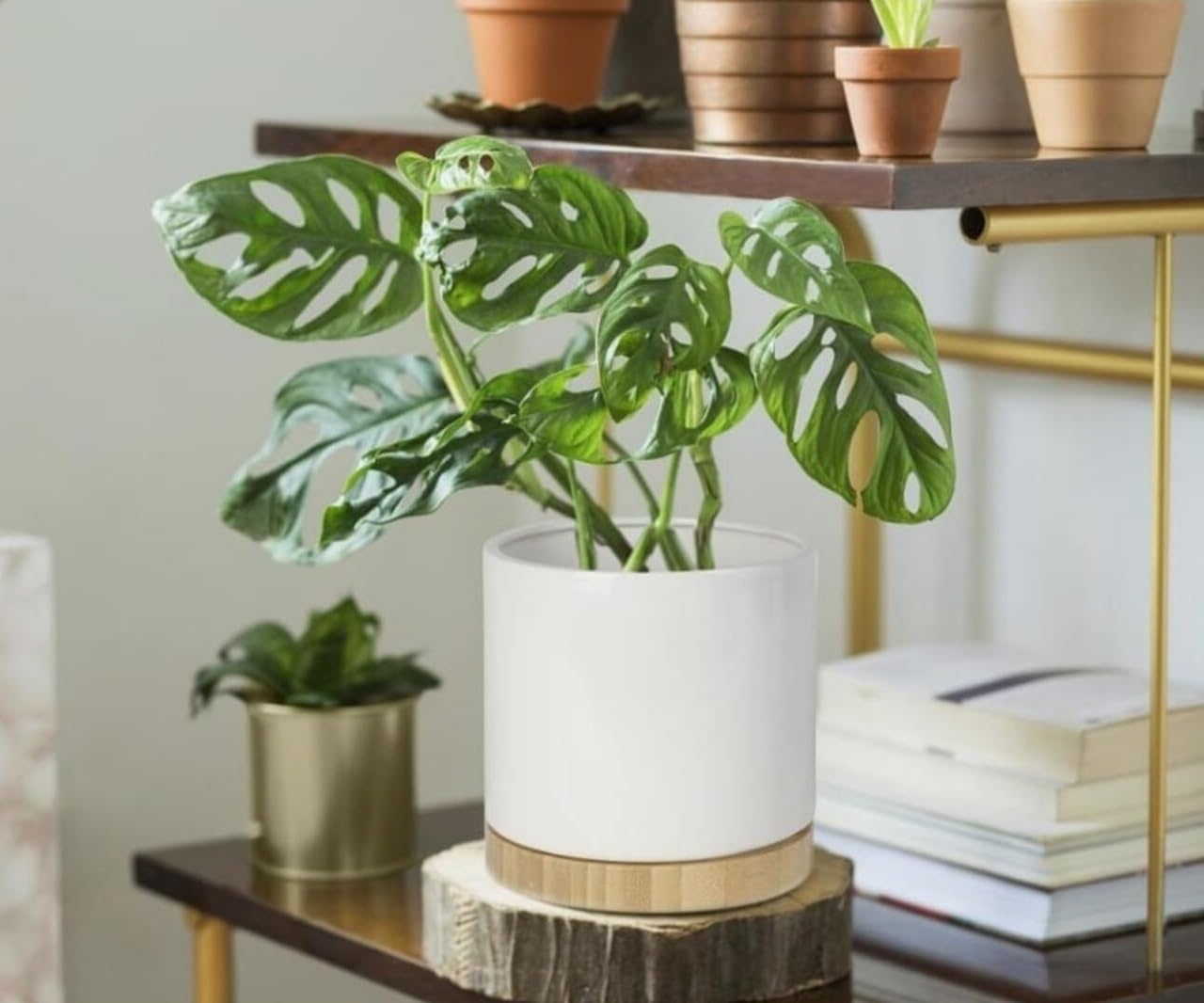 Donica doniczka osłonka ceramiczna z bambusem fi19 - KOTARBAU - 2