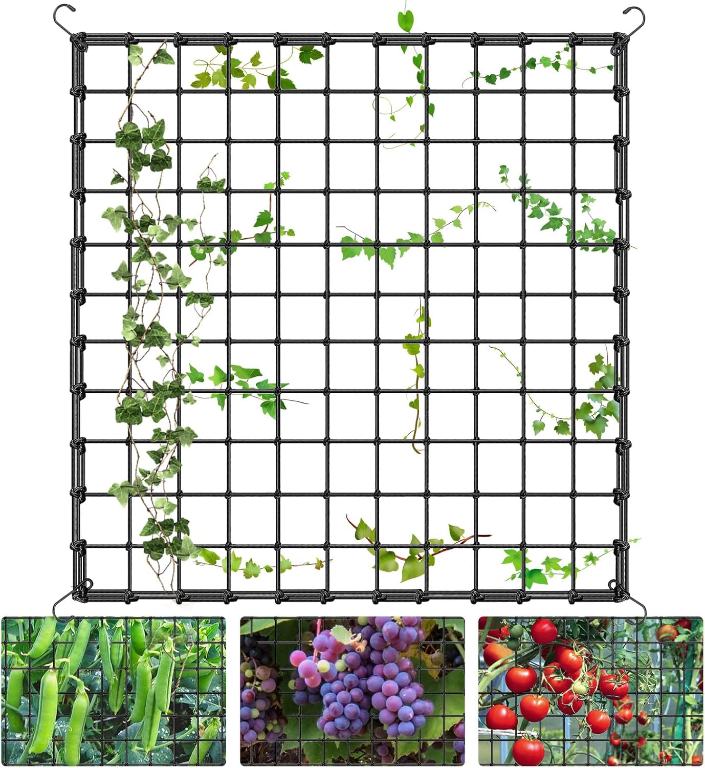 Rete Traliccio Per Piante Rampicanti 120x120 Cm Con 4 Ganci – Supporto Elastico Per Verdure, Fiori E Frutta – Per Giardino, Balcone E Terrazzo - 3