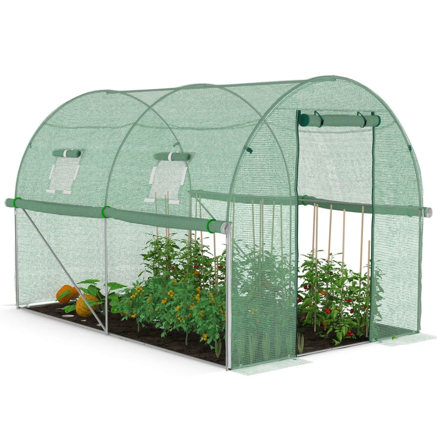 Serre de jardin tunnel 6m² 3 x 2 x 2 m acier galvanisé + bâche anti-UV avec porte et fenêtres ROMA verte toutes saisons - 2