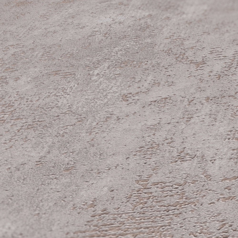 Gris / plata