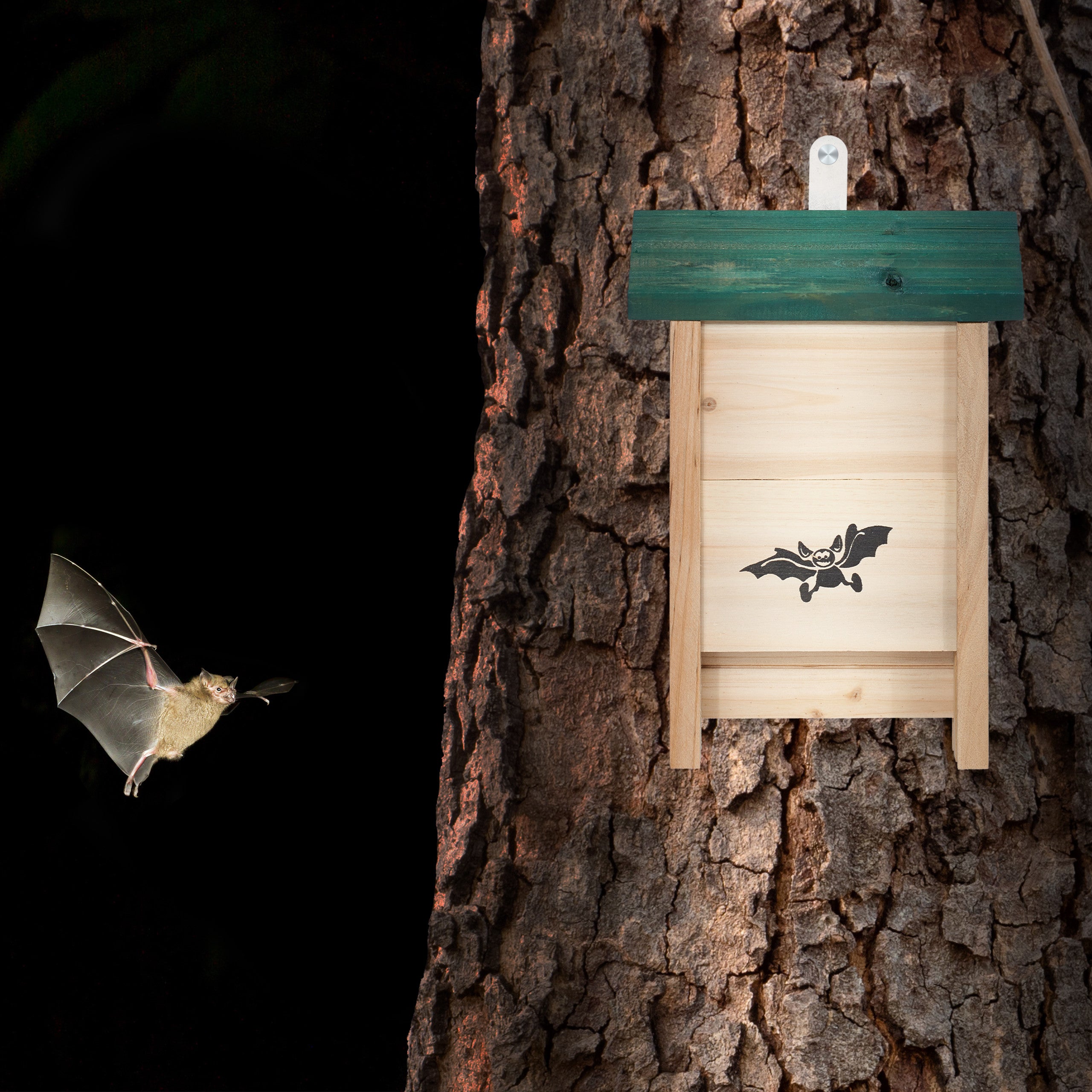 Bat Box Relaxdays - Rifugio In Legno Per Pipistrelli Da Giardino, 29x18x6 Cm - Foto 8