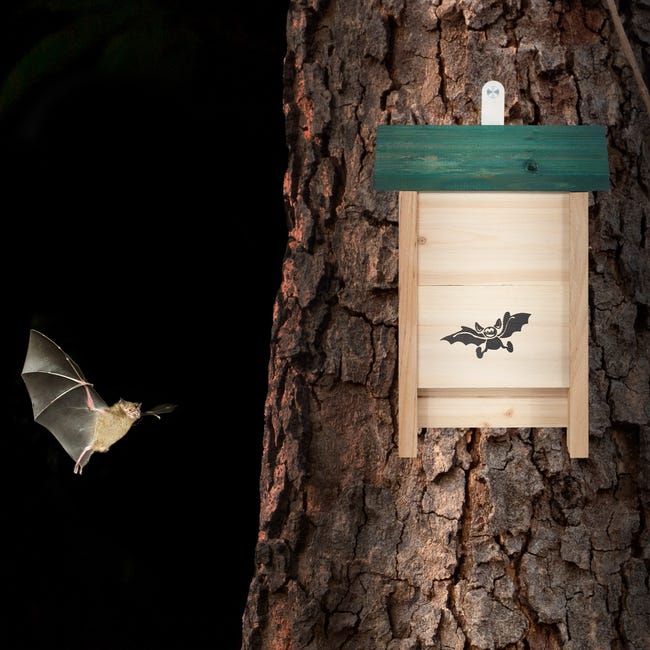 Bat Box Relaxdays - Rifugio In Legno Per Pipistrelli Da Giardino, 29x18x6 Cm - Foto 8