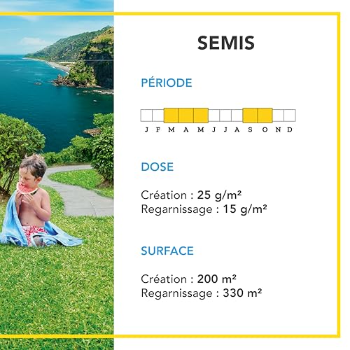 BARENBRUG - Gazon Littoral & Fortes chaleurs - Résistant Sécheresse et Embruns - Supportant Fortes Chaleurs - Dense et Régulier Toute l'Année - 5KG - 4