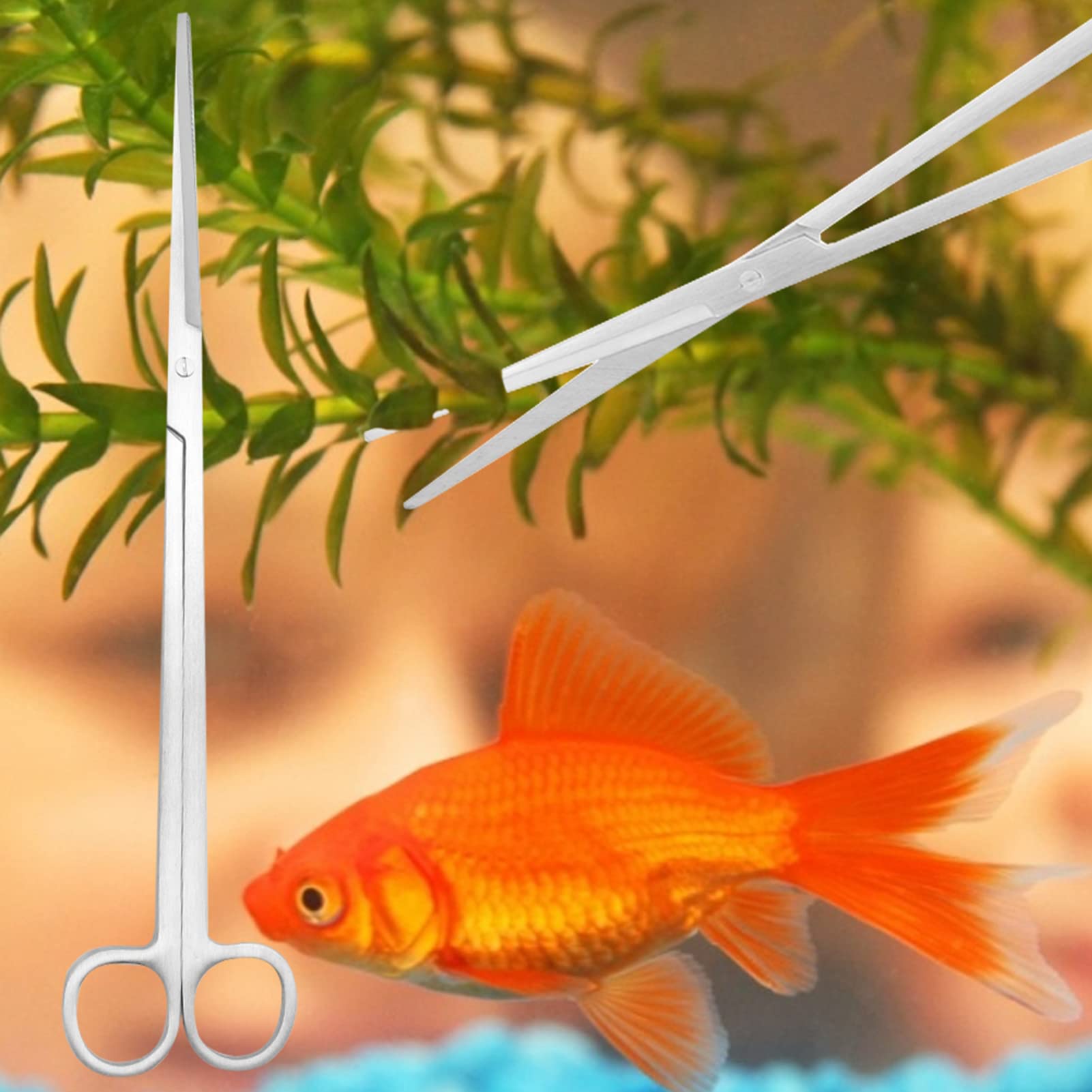 1PC Forbici per pinze per piante acquatiche in acciaio inossidabile professionali per acquario (taglio dritt | Leroy Merlin