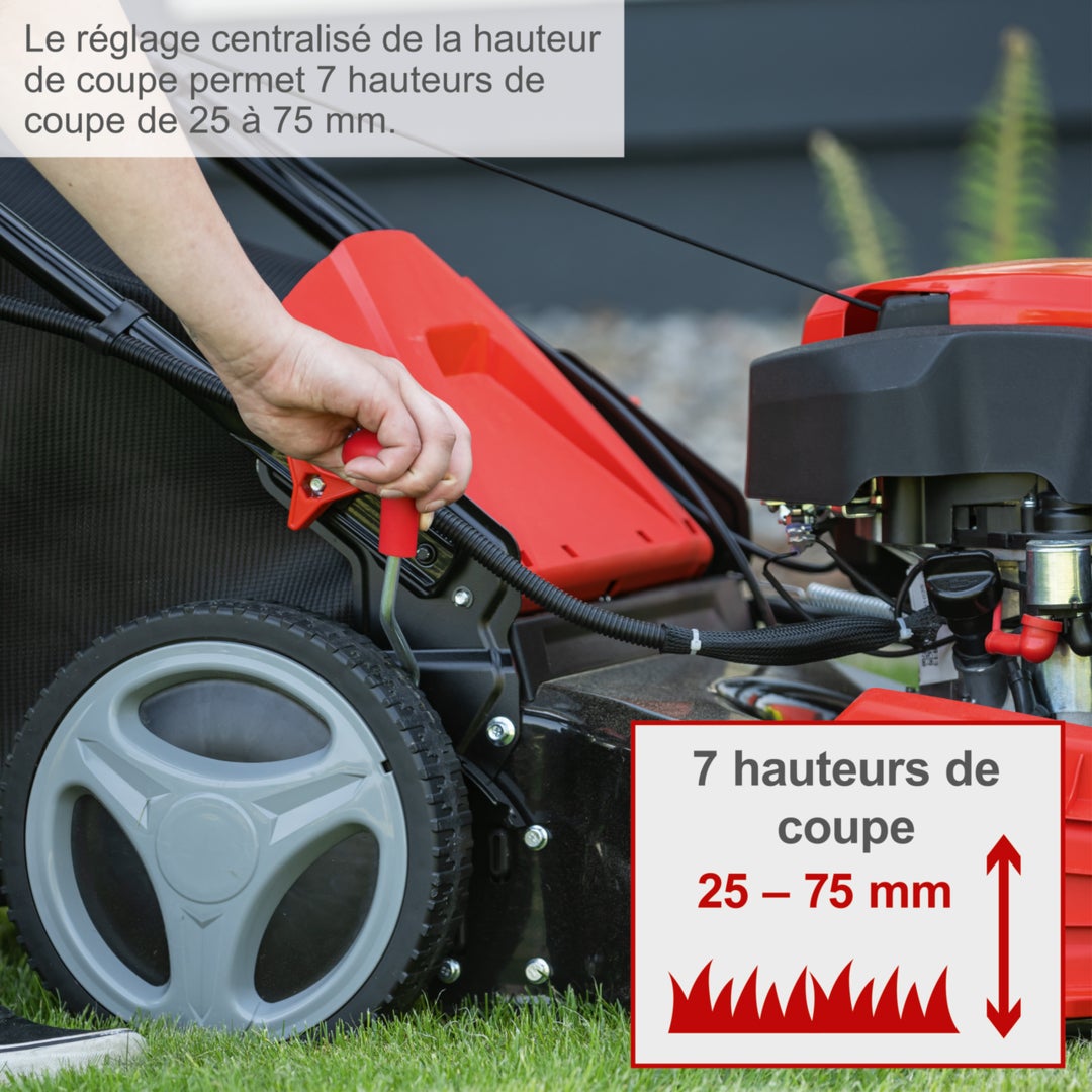 Scheppach Tondeuse à gazon hybride MS225-53E - Largeur de coupe 53 cm - Démarrage électrique - Batterie, chargeur, huile inclus - 5