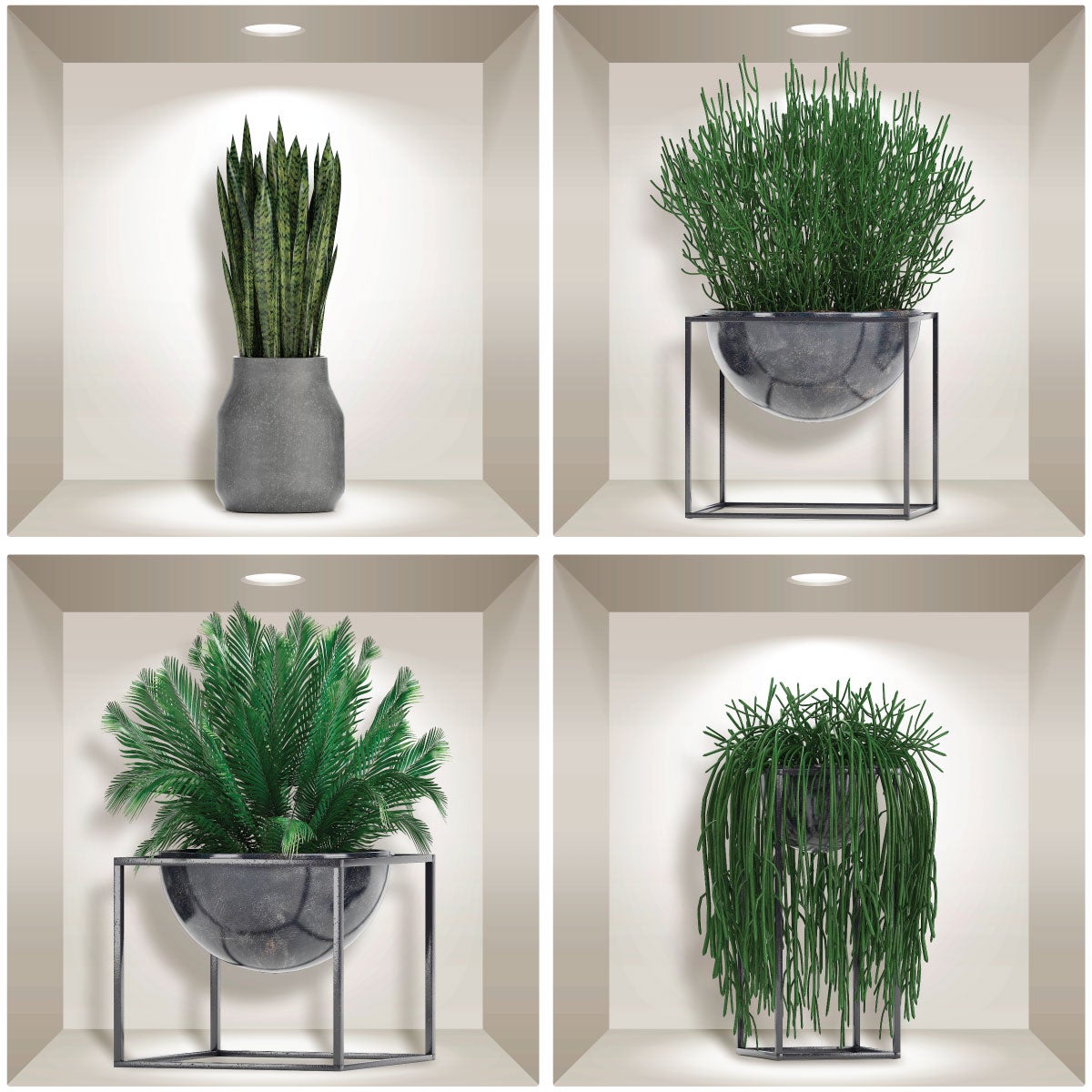 Adesivo effetto 3D succulente - Sticker adesivo - adesivi murali - 80x80cm - 4