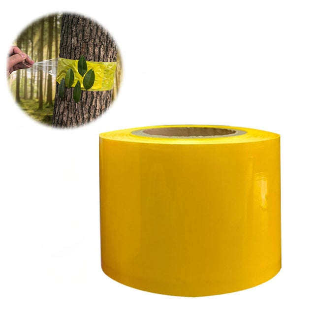 Anneau en caoutchouc autocollant double face pour arbres fruitiers, 10 cm x 100m, chenille, protection, anneau en caoutchouc, arbre fruitier, cerisier