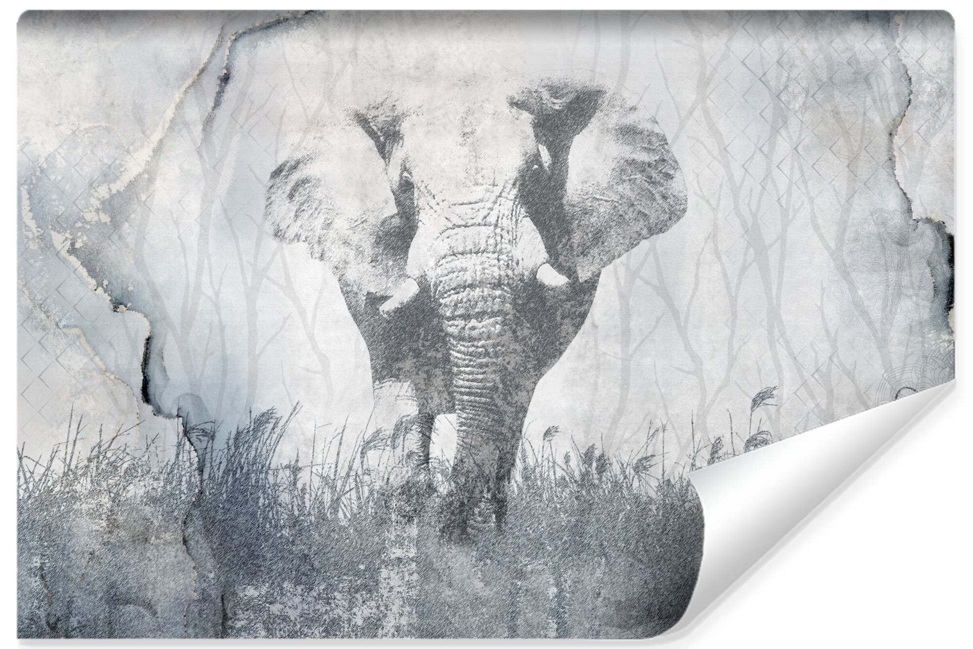 Papel pintado vlieseline foto elefante abstracción concreta para sala 180cm x 120cm
