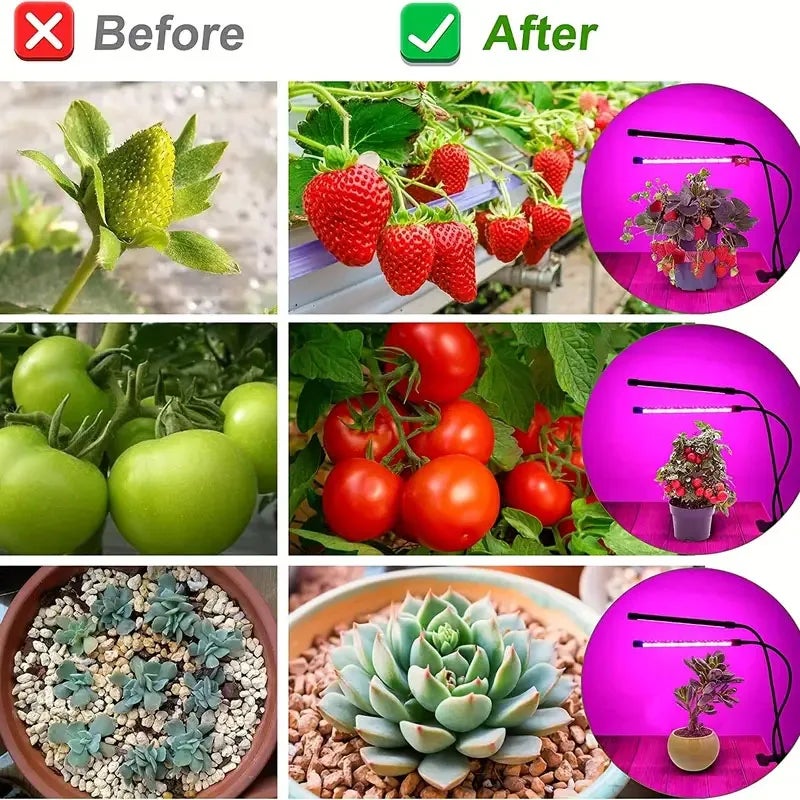 4 cabeças led usb cresce a luz, brilho do jardim interno plantas crescem lâmpada, temporizador 3/9/12h 9 regulável para planta de estufa - 3