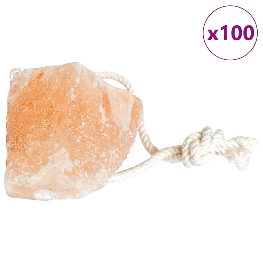 Sól do Lizań Różowy Sól kamienna vidaXL