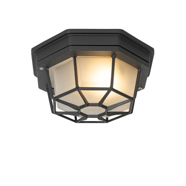 Qazqa rustique plafonnier extérieure, lumière plafond pour jardin - Bri - gris foncé, max. 60w, e27, 21.3cm, IP44, rond