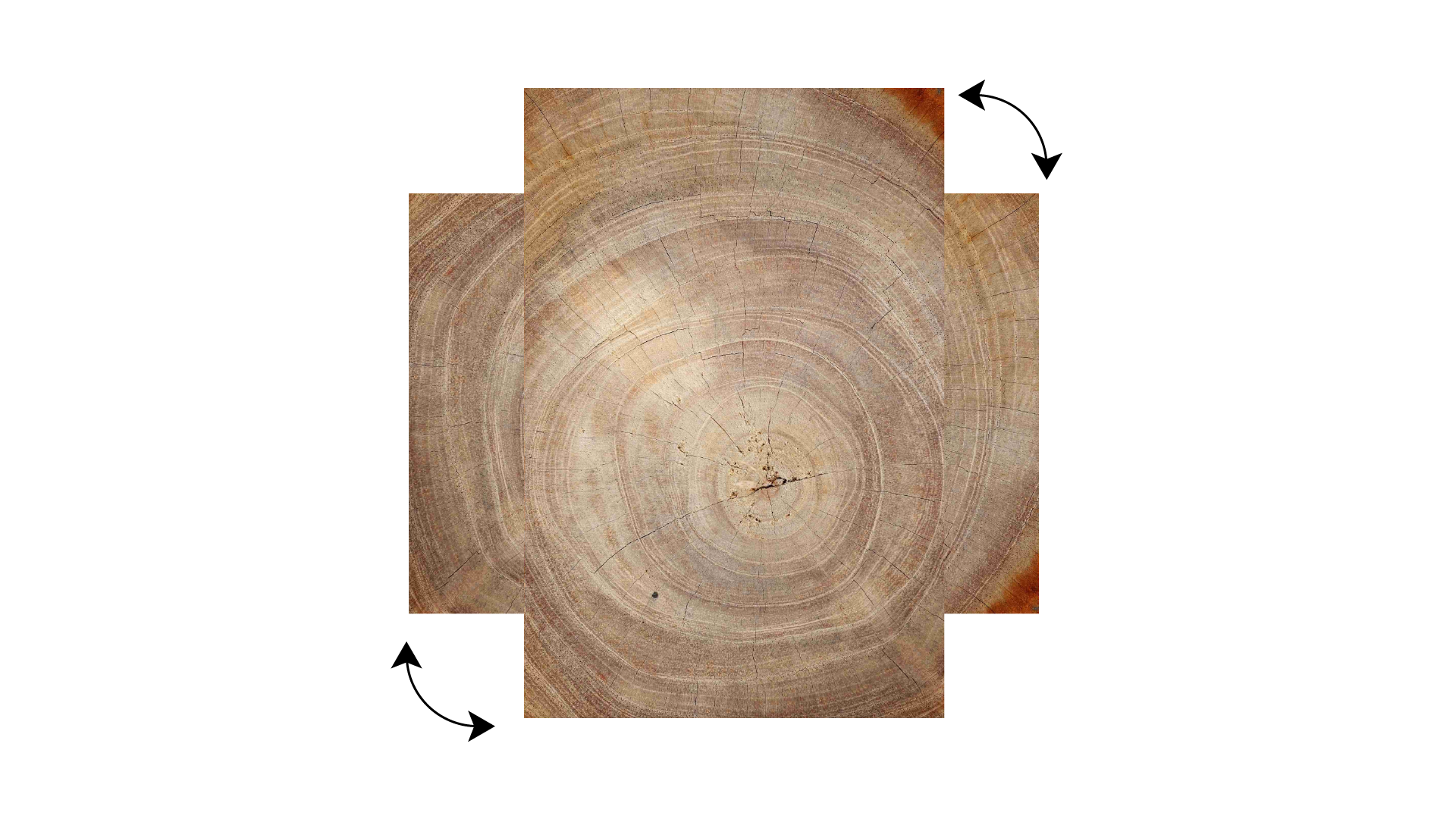 Tableau Magnétique en Métal Motif Tronc Cernes de Bois 90x60cm, MetalBoards pour tout type d'Aimants - 5