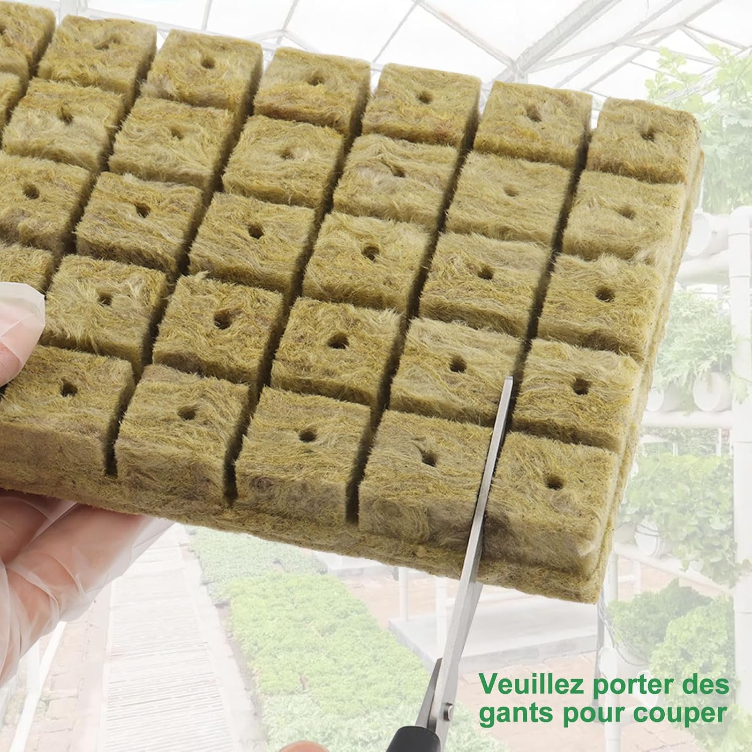 100Pièces Laine de Roche, Hydroponique Laine Cubes 2,5 X 2,5 X 2,5 cm, - 3