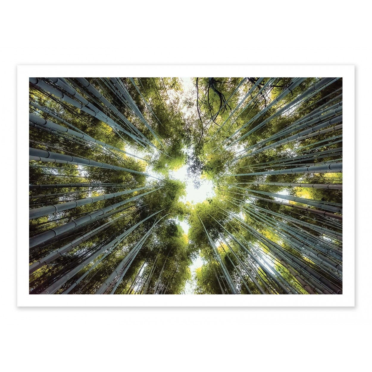 Art-poster - into the grove - manjik pictures - 30 x 40 cm