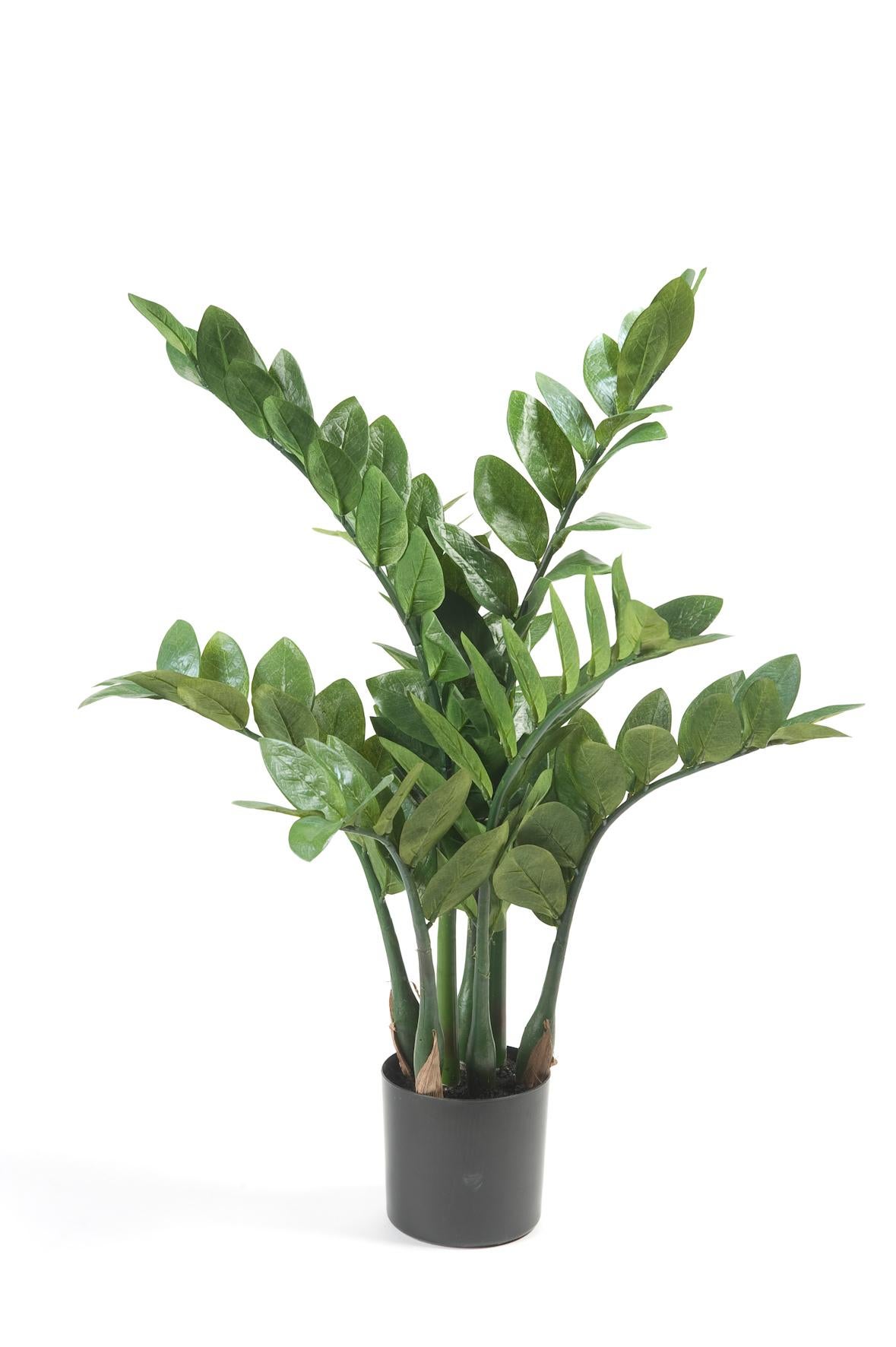 Sztuczna roślina Zamioculcas 70 cm – Palma pokojowa – liście owalne dekoracyjne