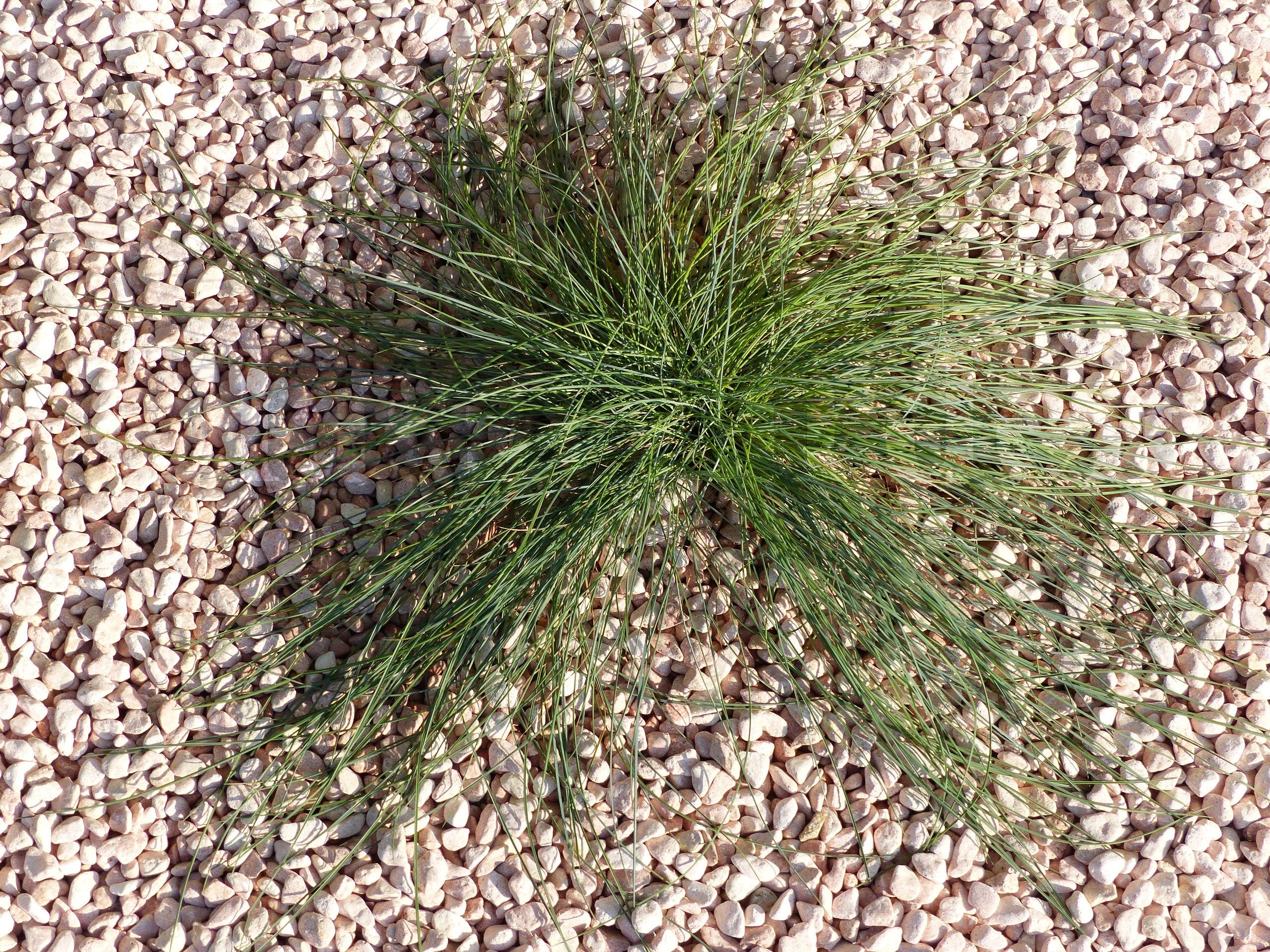 Galet Rose 6-12 Pack de 5 M² - 10 sacs - 200 kg - 2