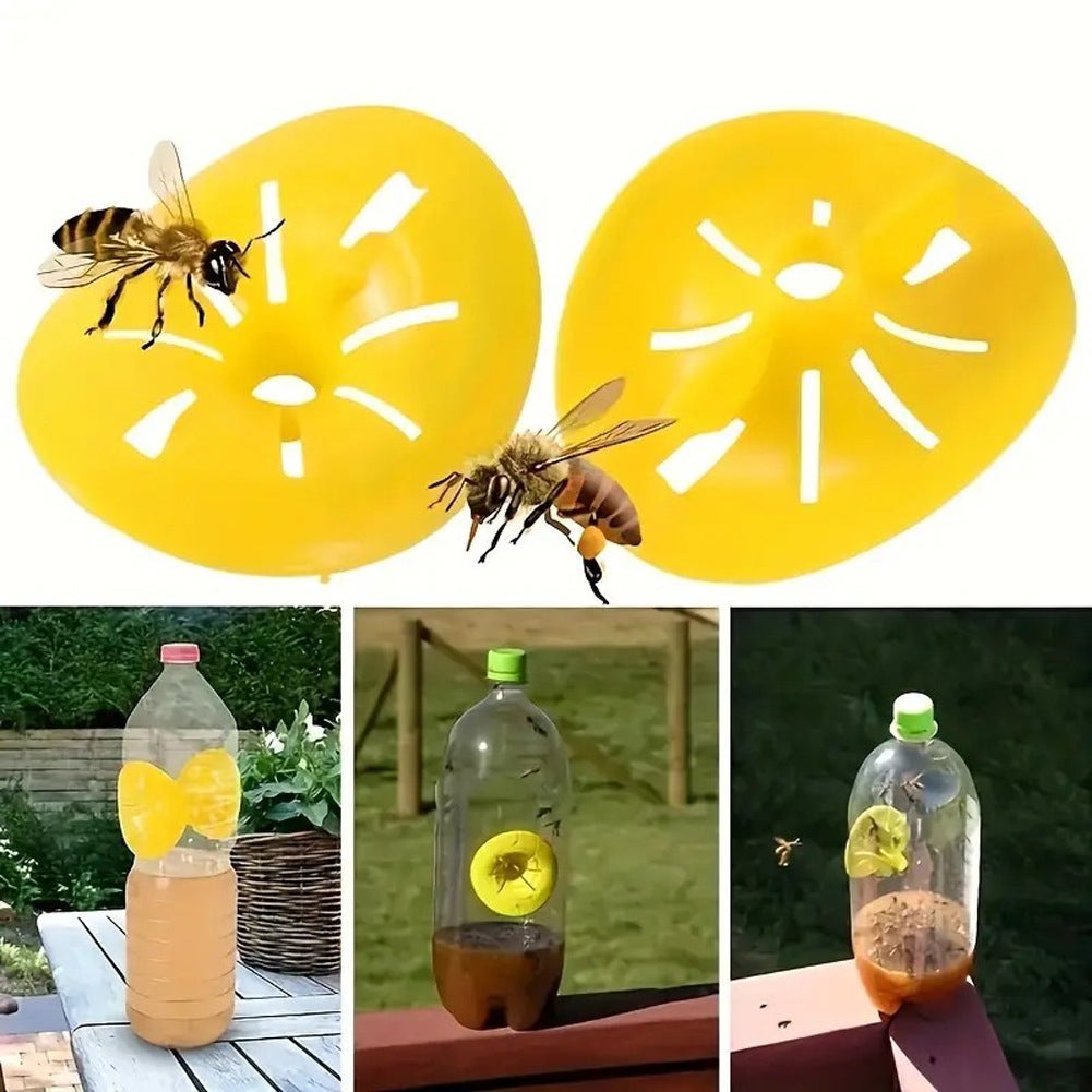 6 pièce Piege Frelon Asiatique, Micro Guepe, Piège à Frelon Asiatique, Piège De Guêpe Catcher D'abeilles Piège à Insectes en Plastique Piège - 3
