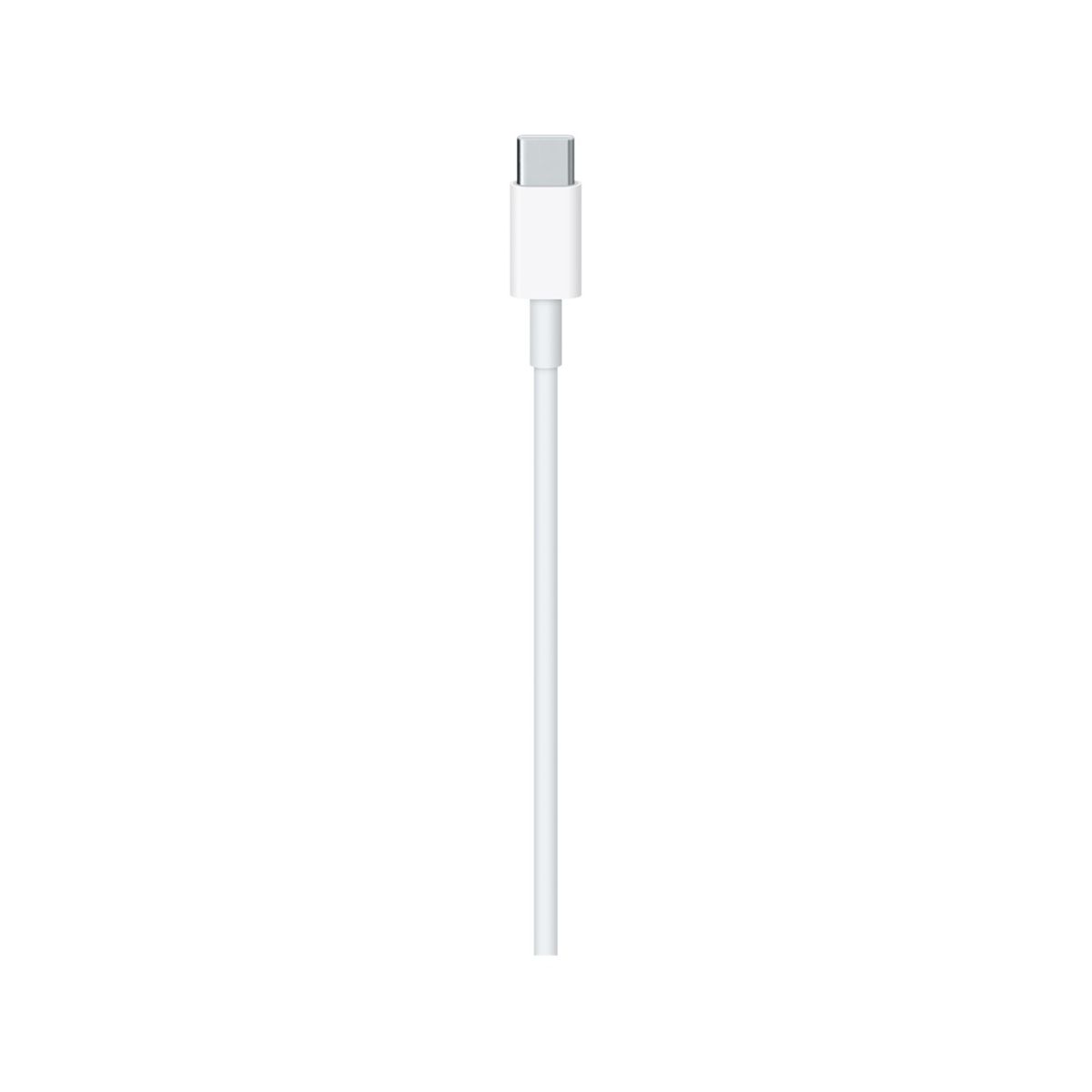 Câble USB C APPLE USB-C / USB C 2M - 2