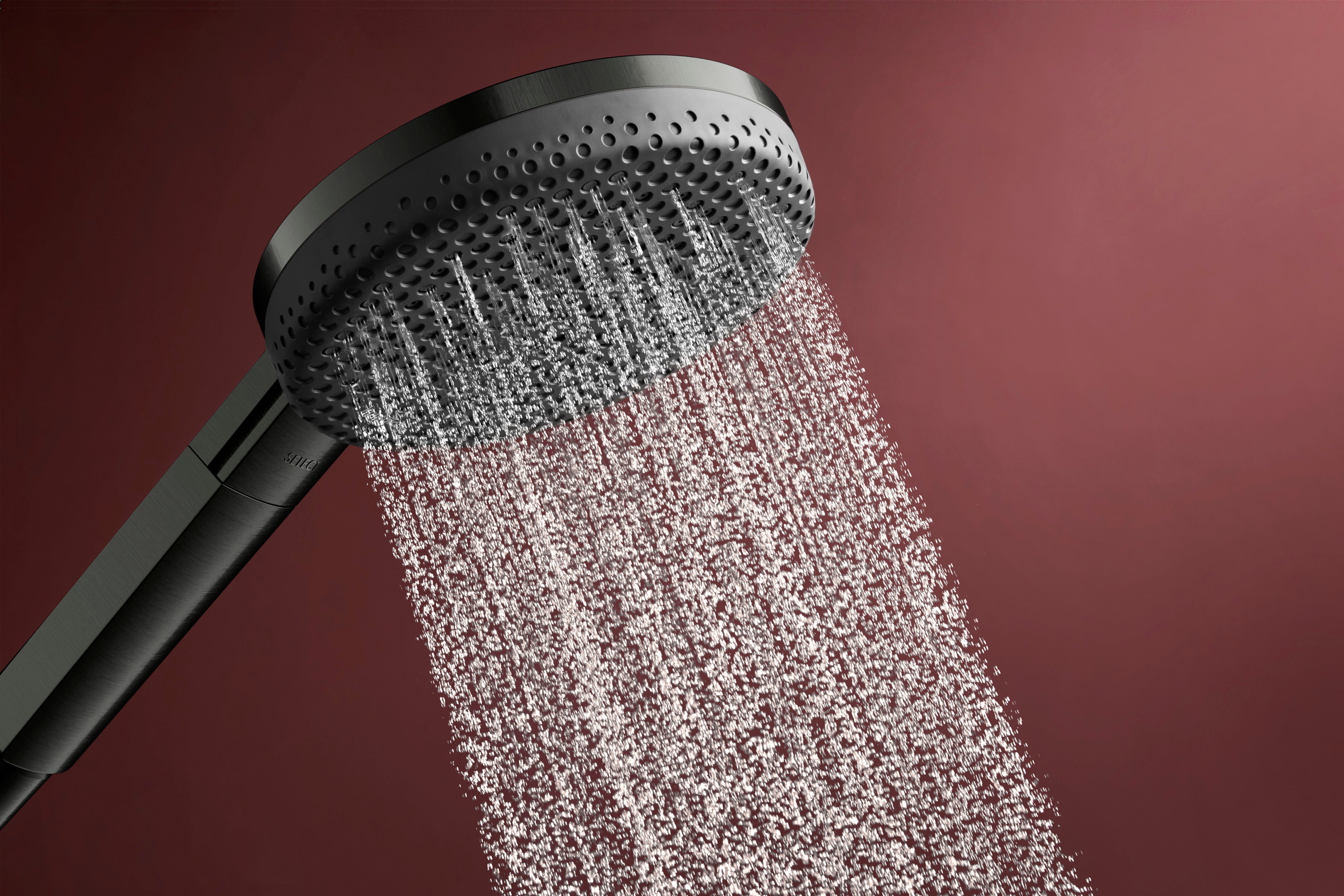 hansgrohe Raindance Alive Select S Douchette à main 125 3jet EcoSmart, 24511340, Farbe: Chrome noir brossé - 4